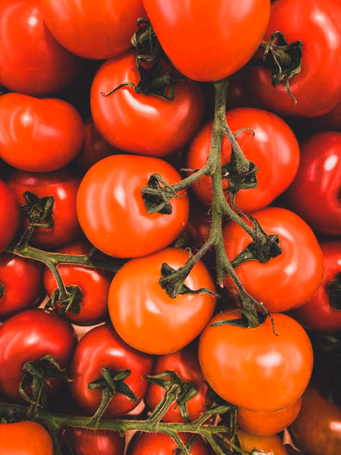 Molho de Tomate (340g)